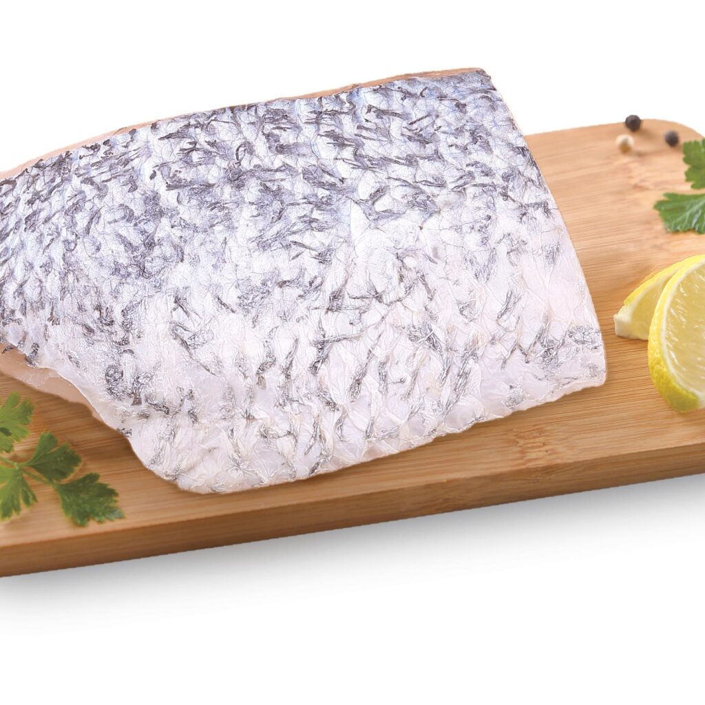 Barramundi_n_02